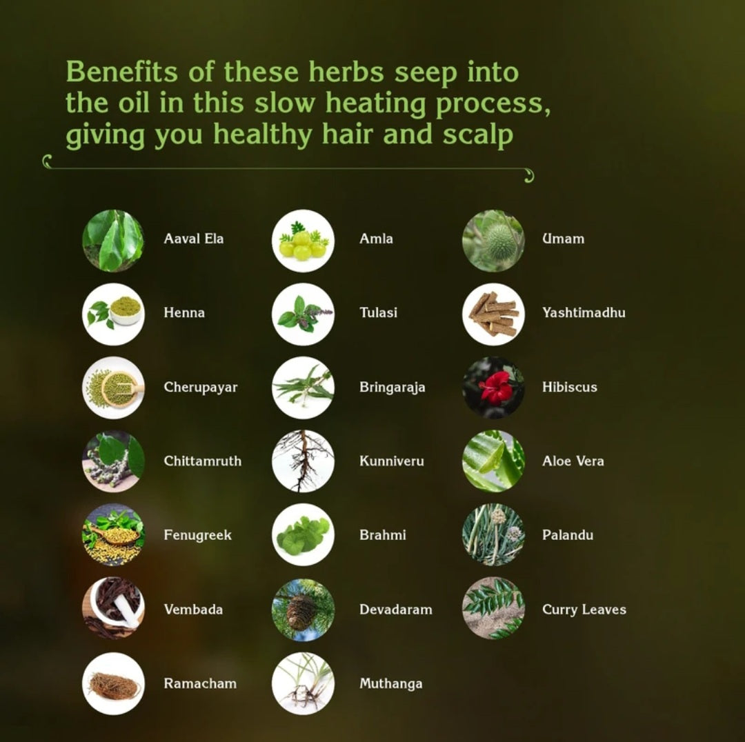Hair Oil- Chandrika Ayurvedic Hair Oil made with 100% Coconut Oil and 20 Hand-Picked Herbs 190ml