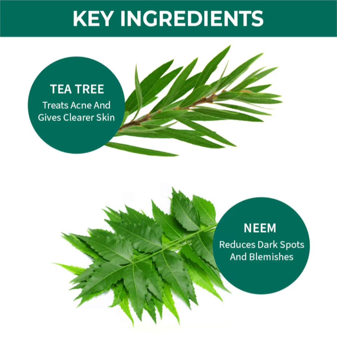 Face Scrub- Nykaa Naturals Tee Tree & Neem Purifying Face Scrub 100gm