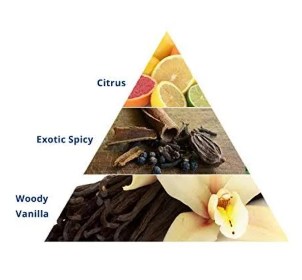 Perfumes & Deodorants- PARK AVENUE CONQUER Natural Perfume Spray with Aromatic Blend of Citrus, Exotic Spices & Woody Vanilla 50ml
